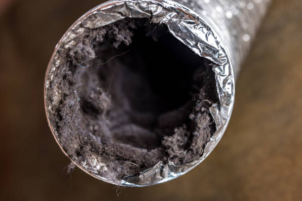 Best Air Duct Cleaning Near Me  in Aurora, IL